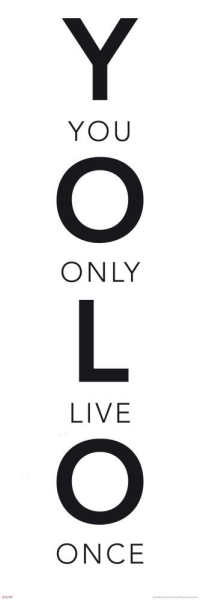 Motivational - Slim-Poster - YOLO - Worte