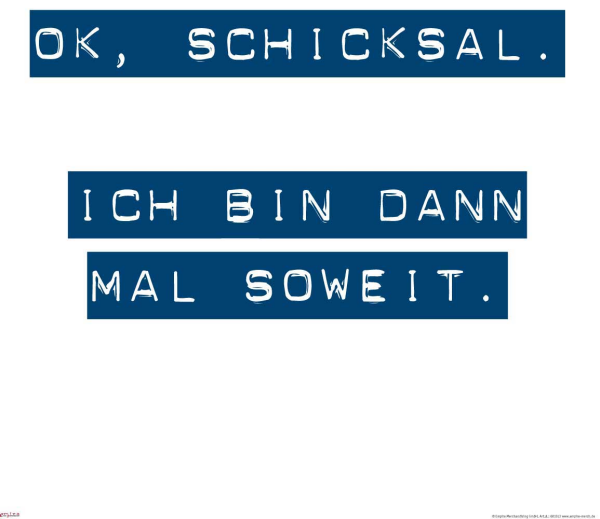 Motivational - Mini-Poster - OK Schicksal, ich bin dann soweit #3