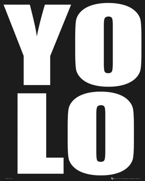 Motivational - Mini-Poster - YOLO
