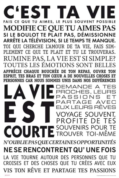 Motivational - Kunstdruck - Cest ta vie