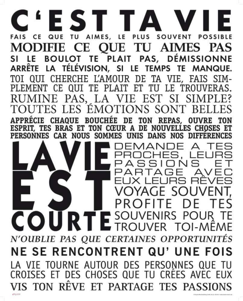 Motivational - Kunstdruck - Cest ta vie