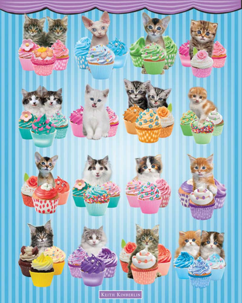 Kimberlin, Keith - Mini-Poster - Kittens Cupcakes