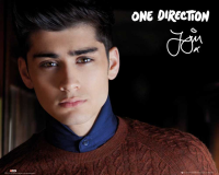 One Direction - Mini-Poster - Zayn Landscape