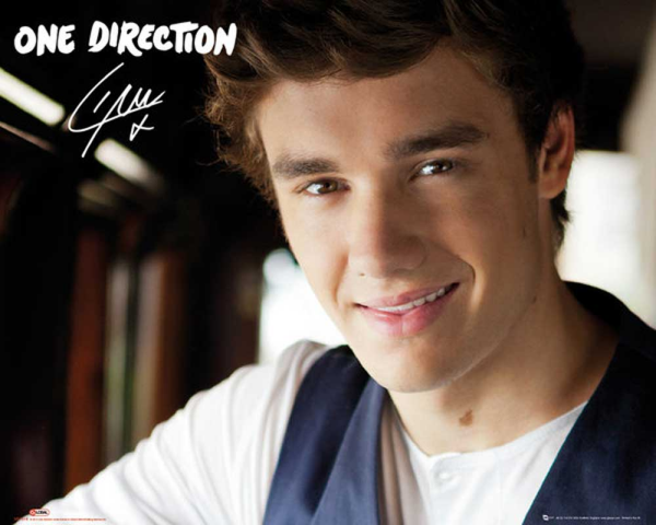 One Direction - Mini-Poster - Liam Landscape