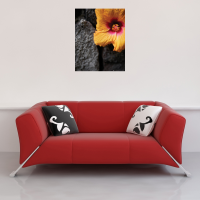 Blumen - Mini-Poster - Flowers Stone Wall