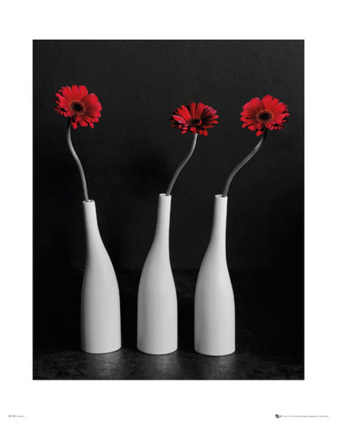 Blumen - Mini-Poster - Gerberas Bottles
