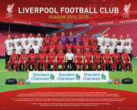 Fußball - Mini-Poster - Liverpool - Team Photo 14/15