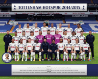 Fußball - Mini-Poster - Tottenham Hotspur - Team...