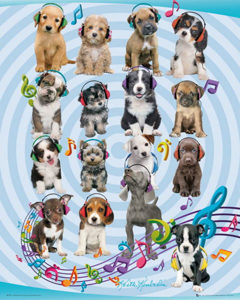 Kimberlin, Keith - Mini-Poster - Puppies Headphones 2