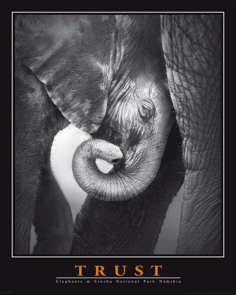 Motivational - Mini-Poster - Trust - Elephant