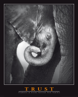 Motivational - Mini-Poster - Trust - Elephant