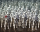 Star Wars - Mini-Poster - EP7 Stormtrooper Army