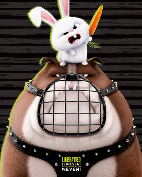 Secret Life Of Pets - Mini-Poster - Liberated