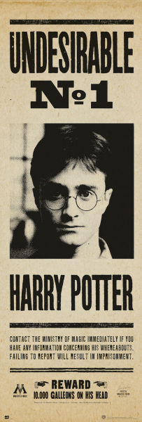 Harry Potter - Türposter - Undesirable No. 1