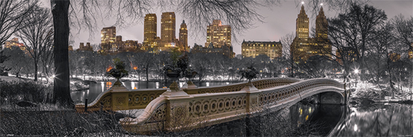 New York  - Slim-Poster - Central Park - Bow Bridge