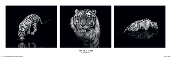 Cano, Marina - Slim-Poster - Into the Dark