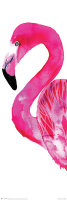 Rolfsdotter, Sofie - Slim-Poster - Flamingo