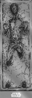 Star Wars - Türposter - Han Solo Carbonite