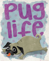 Hunde - Mini-Poster - Pug Life