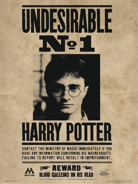 Harry Potter - Kunstdruck - Undesirable N. 1