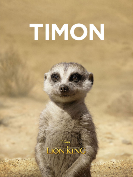 Lion King, The - Kunstdruck - Timon