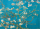 1000 Teile Puzzle - Puzzle - Vincent van Gogh - Mandelbaum in Blüte