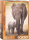 1000 Teile Puzzle - Puzzle - Elefantenmutter mit Baby
