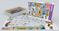 1000 Teile Puzzle - Puzzle - Yoga Katzen