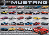 1000 Teile Puzzle - Puzzle - Ford Mustang Evolution