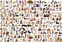 1000 Teile Puzzle - Puzzle - Hundewelt