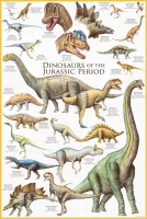 1000 Teile Puzzle - Puzzle - Dinosaurier der Jura Zeit