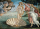 1000 Teile Puzzle - Puzzle - Sandro Botticelli - Geburt der Venus