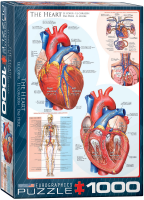 1000 Teile Puzzle - Puzzle - Das menschliche Herz - Anatomie Puzzle