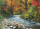 1000 Teile Puzzle - Puzzle - Ruhiger Fluss im Wald