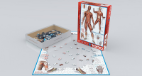 1000 Teile Puzzle - Puzzle - Anatomie - Die menschliche Muskulatur