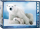 1000 Teile Puzzle - Puzzle - Eisbären Mama mit schlafendem Baby
