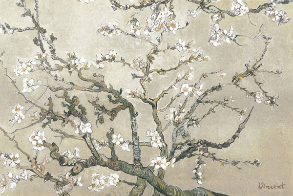 Van Gogh, Vincent - Kunstdruck - Almond Branches Tan