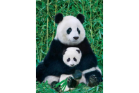 1000 Teile Puzzle - Puzzle - Panda Bär & Baby