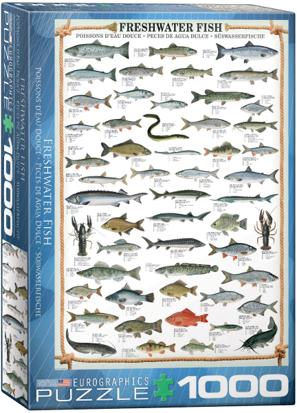 1000 Teile Puzzle - Puzzle - Süßwasser Fische