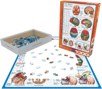 1000 Teile Puzzle - Puzzle - Das Gehirn Funktion Anatomie und Chirurgie