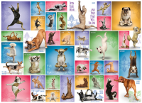 1000 Teile Puzzle - Puzzle - Yoga Hunde