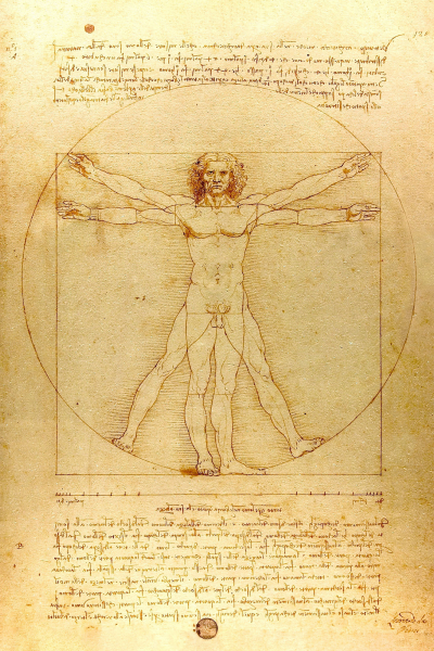 Leonardo da Vinci - Kunstdruck - Vitruvianischer Mensch