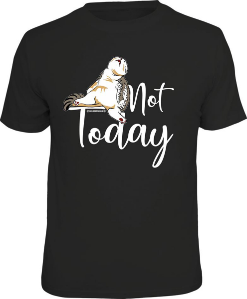 Fun Shirt - Not today - T-Shirt / Shirt Größe wählbar S M L XL XXL
