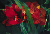 Christian - Kunstdruck - Magic Blossom (Amaryllis)