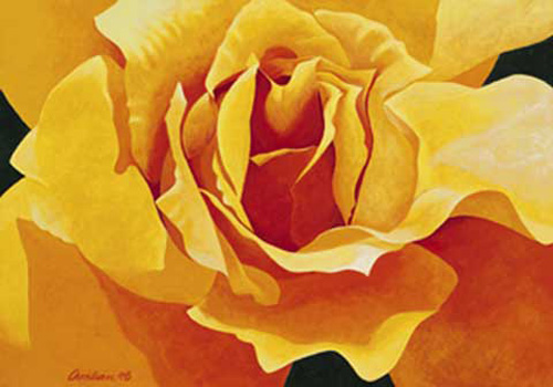 Christian - Kunstdruck - Honeymoon (Yellow Rose)