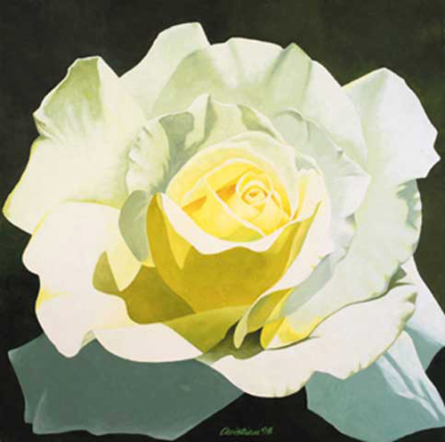 Christian - Kunstdruck - Little Snow White (White Rose)