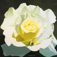 Christian - Kunstdruck - Little Snow White (White Rose)