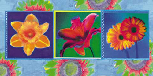 Comi Disegni - Kunstdruck - Mai Thai