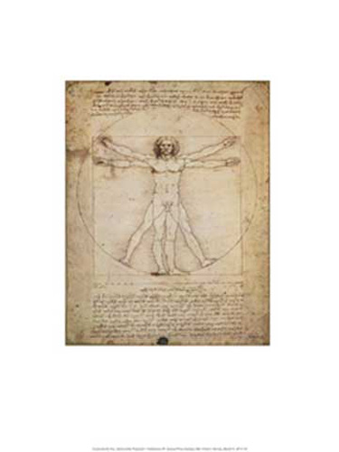 Leonardo da Vinci - Kunstdruck - Schema Delle Proporzioni