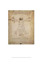 Leonardo da Vinci - Kunstdruck - Schema Delle Proporzioni